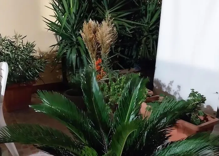 Il Giardino Di Marimar Apartamento *